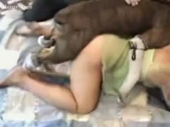 A pudgy dog with a large penis slams an older black cock slut who is lustful from behind.